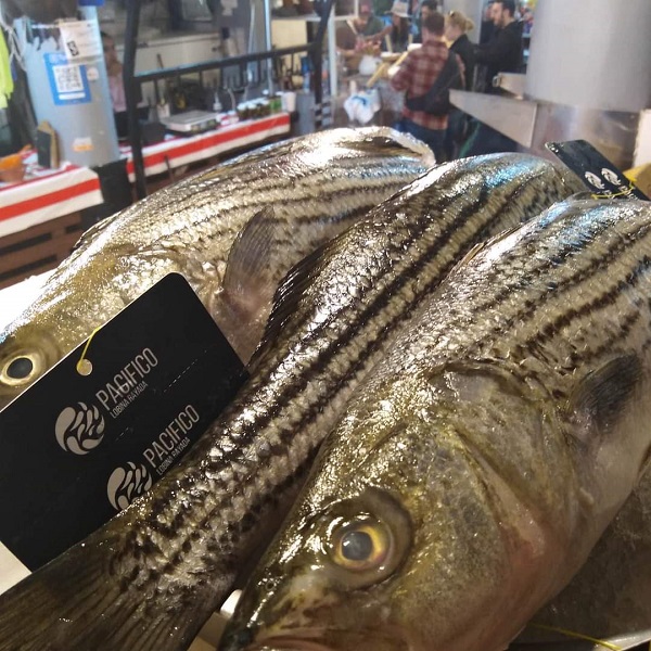 Mercado San Juan Pugibet - Pescadería Eladio's
