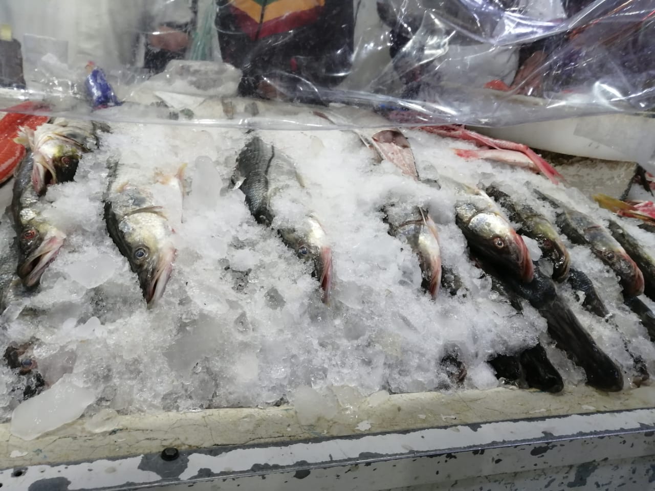 Mercado Pugibet - Pescadería Puerto Nuevo